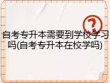自考专升本需要到学校学习吗(自考专升本在校学吗)