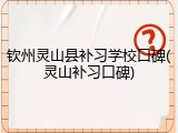 钦州灵山县补习学校口碑(灵山补习口碑)