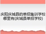 庆阳庆城县的单招集训学校哪里有(庆城县单招学校)