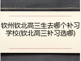 钦州钦北高三生去哪个补习学校(钦北高三补习选哪)