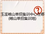 玉溪峨山单招集训中心在哪(峨山单招集训地)