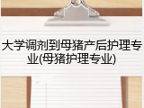 大学调剂到母猪产后护理专业(母猪护理专业)