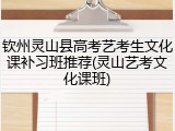钦州灵山县高考艺考生文化课补习班推荐(灵山艺考文化课班)