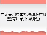 广元青川县单招培训班有哪些(青川单招培训班)
