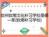 钦州钦南文化补习学校是哪一家(钦南补习学校)