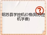 昭苏县学挖机价格(昭苏挖机学费)