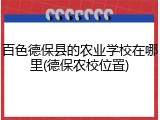 百色德保县的农业学校在哪里(德保农校位置)