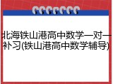北海铁山港高中数学一对一补习(铁山港高中数学辅导)