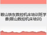 鞍山铁东数控机床培训班学费(鞍山数控机床培训)