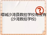 塔城沙湾县数控学校有没有(沙湾数控学校)