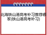 北海铁山港高考补习推荐哪家(铁山港高考补习)