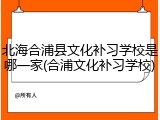 北海合浦县文化补习学校是哪一家(合浦文化补习学校)
