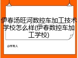 伊春汤旺河数控车加工技术学校怎么样(伊春数控车加工学校)