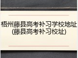 梧州藤县高考补习学校地址(藤县高考补习校址)