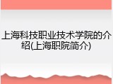 上海科技职业技术学院的介绍(上海职院简介)
