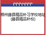 梧州藤县精品补习学校地址(藤县精品补校)