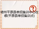 德州平原县单招集训中心在哪(平原县单招集训点)