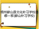 梧州蒙山县文化补习学校是哪一家(蒙山补习学校)