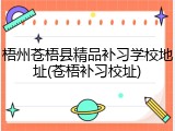 梧州苍梧县精品补习学校地址(苍梧补习校址)