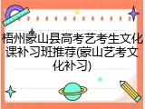 梧州蒙山县高考艺考生文化课补习班推荐(蒙山艺考文化补习)