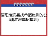 信阳淮滨县找单招集训的公司(淮滨单招集训)