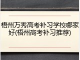 梧州万秀高考补习学校哪家好(梧州高考补习推荐)