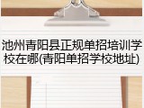池州青阳县正规单招培训学校在哪(青阳单招学校地址)