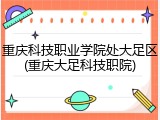 重庆科技职业学院处大足区(重庆大足科技职院)