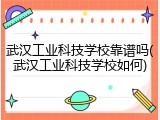 武汉工业科技学校靠谱吗(武汉工业科技学校如何)