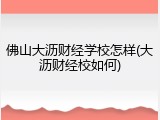 佛山大沥财经学校怎样(大沥财经校如何)