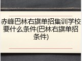 赤峰巴林右旗单招集训学校要什么条件(巴林右旗单招条件)