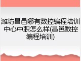 潍坊昌邑哪有数控编程培训中心中职怎么样(昌邑数控编程培训)