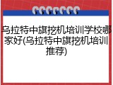 乌拉特中旗挖机培训学校哪家好(乌拉特中旗挖机培训推荐)