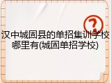汉中城固县的单招集训学校哪里有(城固单招学校)