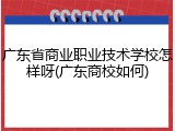 广东省商业职业技术学校怎样呀(广东商校如何)