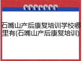 石嘴山产后康复培训学校哪里有(石嘴山产后康复培训)