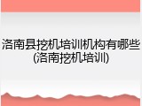 洛南县挖机培训机构有哪些(洛南挖机培训)
