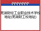 芜湖财经工业职业技术学校地址(芜湖财工校地址)