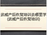 武威产后恢复培训去哪里学(武威产后恢复培训)