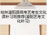 桂林灌阳县高考艺考生文化课补习班推荐(灌阳艺考文化补习)