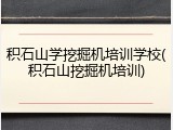 积石山学挖掘机培训学校(积石山挖掘机培训)