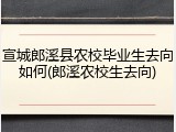 宣城郎溪县农校毕业生去向如何(郎溪农校生去向)