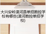 大兴安岭漠河县单招数控学校有哪些(漠河数控单招学校)