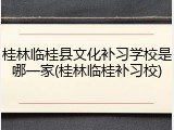 桂林临桂县文化补习学校是哪一家(桂林临桂补习校)
