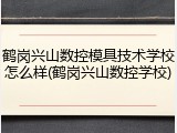 鹤岗兴山数控模具技术学校怎么样(鹤岗兴山数控学校)
