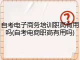自考电子商务培训职高有用吗(自考电商职高有用吗)