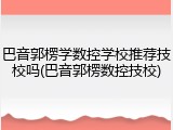巴音郭楞学数控学校推荐技校吗(巴音郭楞数控技校)