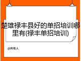 楚雄禄丰县好的单招培训哪里有(禄丰单招培训)