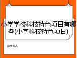 小学学校科技特色项目有哪些(小学科技特色项目)