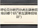 呼伦贝尔新巴尔虎左旗单招培训哪个好("新左旗单招培训")